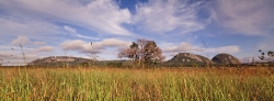 Mutinondo Series