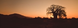 Zambezi Series