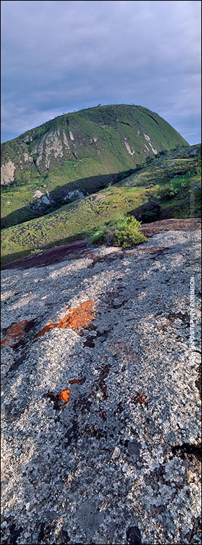 008_LZmMut_155V Lichen Algae Rocks & Mt Mayense