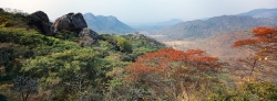Luangwa Series