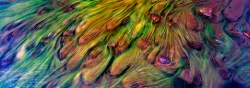102A_LZmE_0409 12.15 Riverbed Algae abstract