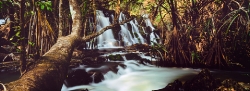 173_LZmNW_137 Nyangombe River Falls