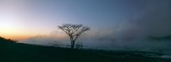 149_LZmL_69 Dawn Mist #2
