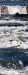 153_LZmL.725557V Fisherman & White Water