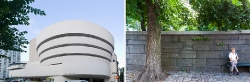 417_Opposing-Views_diptych_Guggenheim-NewYork#7