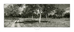 LZmE.BW.451_CANVAS-PRINT-ON-STRETCHER-SALE_112cm-US$100