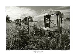 LZmS.142BW_CANVAS-PRINT-SALE_85cm-US$90