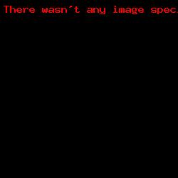 214_LZmE.418V_CANVAS-PRINT-ON-STRETCHER-SALE-112cm-US$120